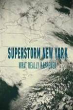 Watch Superstorm New York: What Really Happened Zmovies