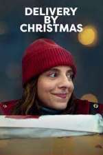 Watch Delivery by Christmas Zmovies