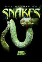 Watch Beauty of Snakes Zmovies