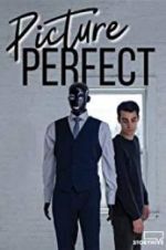 Watch Picture Perfect Zmovies