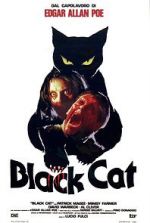 Watch The Black Cat Zmovies