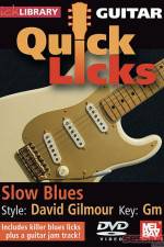 Watch Lick Library Quick Licks David Gilmour Zmovies