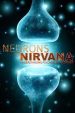 Watch Neurons to Nirvana Zmovies