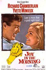 Watch Joy in the Morning Zmovies