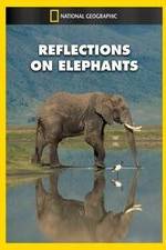 Watch Reflections on Elephants Zmovies