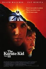 Watch The Karate Kid Part III Zmovies