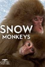 Watch Nature: Snow Monkeys Zmovies