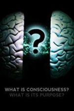 Watch What Is Consciousness? What Is Its Purpose? Zmovies