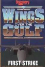 Watch Wings Over the Gulf Vol  1  First Strike Zmovies