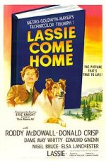 Watch Lassie Come Home Zmovies