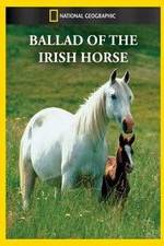 Watch Ballad of the Irish Horse Zmovies