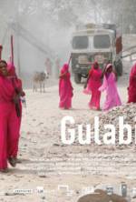 Watch Gulabi Gang Zmovies