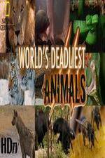 Watch National Geographic - Worlds Deadliest Animal Battles Zmovies