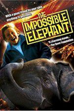 Watch The Incredible Elephant Zmovies