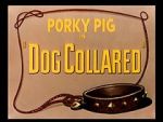 Watch Dog Collared (Short 1950) Zmovies