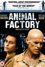 Watch Animal Factory Zmovies