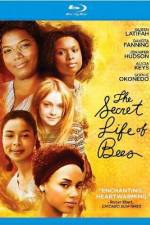 Watch The Secret Life of Bees Zmovies