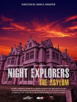 Watch Night Explorers: The Asylum Zmovies
