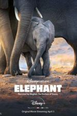 Watch Elephant Zmovies