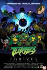 Watch Teenage Mutant Ninja Turtles Turtles Forever Zmovies