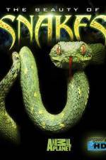 Watch The Beauty of Snakes Zmovies