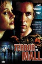 Watch Terror in the Mall Zmovies