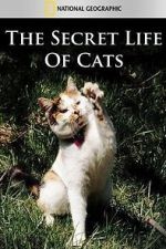 Watch The Secret Life of Cats Zmovies
