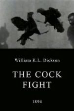 Watch The Cock Fight Zmovies