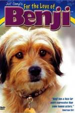 Watch For the Love of Benji Zmovies