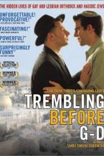 Watch Trembling Before G-d Zmovies