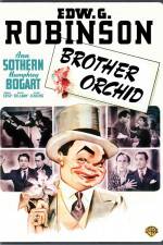 Watch Brother Orchid Zmovies