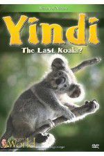 Watch Yindi the Last Koala Zmovies