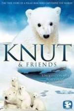Watch Knut and Friends Zmovies