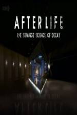 Watch After Life: The strange Science Of Decay Zmovies