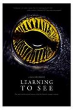 Watch Learning to See: The World of Insects Zmovies