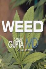 Watch CNN Weed Sanjay Gupta Report Zmovies