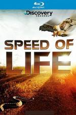 Watch Speed of Life Zmovies