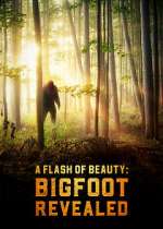 Watch A Flash of Beauty: Bigfoot Revealed Zmovies