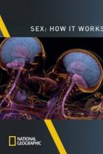 Watch Sex How It Works Zmovies