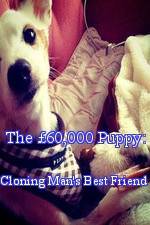 Watch The 60,000 Puppy: Cloning Man's Best Friend Zmovies