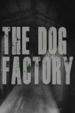 Watch The Dog Factory Zmovies