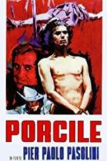 Watch Porcile Zmovies
