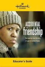Watch Accidental Friendship Zmovies