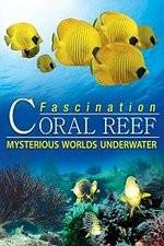Watch Fascination Coral Reef: Mysterious Worlds Underwater Zmovies