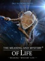 Watch The Meaning and Mystery of Life Zmovies