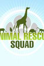 Watch Animal Rescue Squad Zmovies