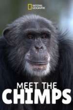 Watch Meet the Chimps Zmovies