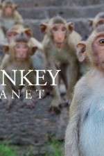 Watch Monkey Planet Zmovies
