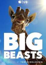 Watch Big Beasts Zmovies