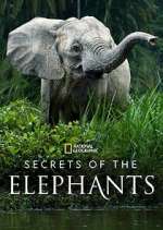 Watch Secrets of the Elephants Zmovies